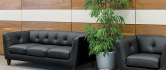 Уют в офисе: почему мягкая мебель влияет на продуктивность команды