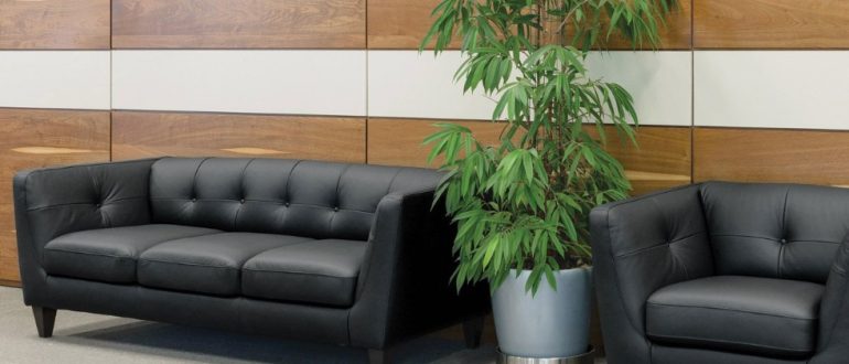 Уют в офисе: почему мягкая мебель влияет на продуктивность команды
